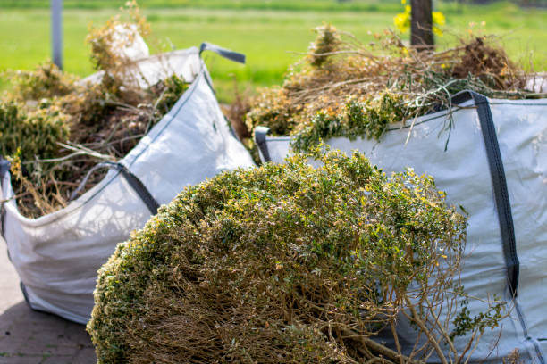 Best Household Junk Removal  in Castle Pines, CO